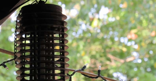 Bug zapper.